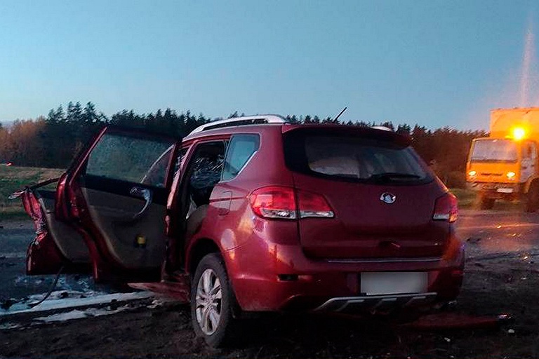 В ДТП под Борисовом погибли водитель и ребенок